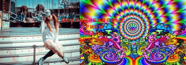 PSILOCYBIN Алексеевка