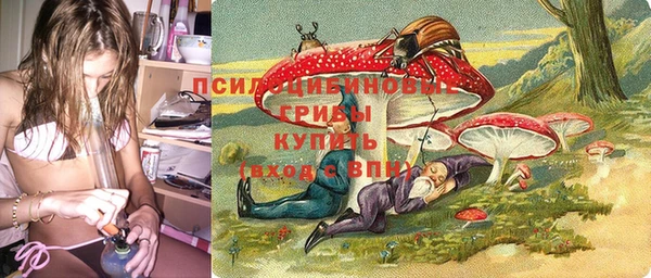 PSILOCYBIN Алексеевка